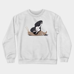 The Sneaker Crewneck Sweatshirt